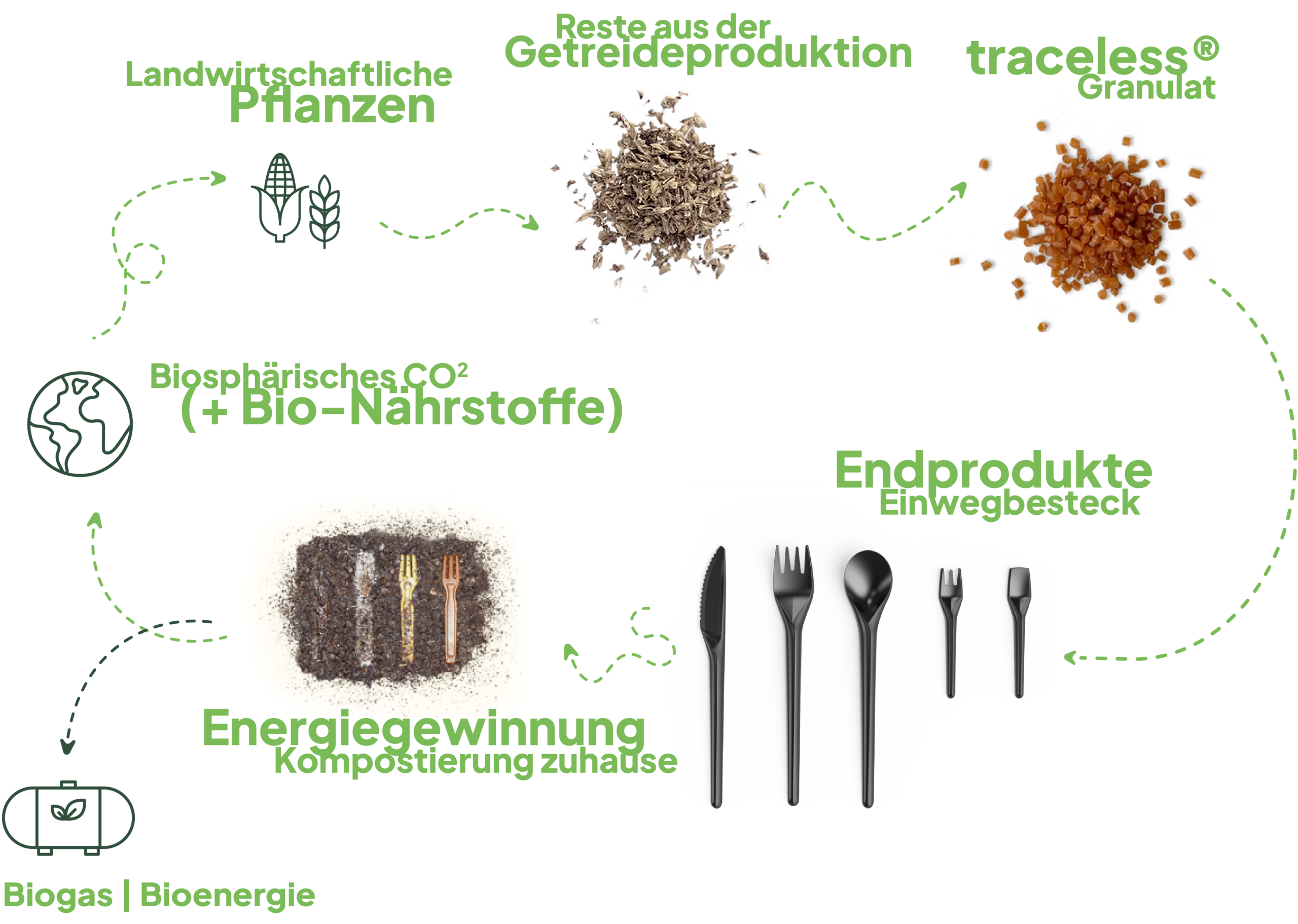 Kreisdiagramm zum Lebenszyklus von traceless-Produkten: Landwirtschaftliche Pflanzen liefern Reste aus der Getreideproduktion, die zu traceless Granulat verarbeitet werden. Daraus entstehen Endprodukte wie Einwegbesteck. Nach der Nutzung erfolgt die Energiegewinnung durch Kompostierung zu Hause oder durch Biogas/Bioenergie. Dabei entstehen biosphärisches CO₂ und Bio-Nährstoffe, die wieder in die Landwirtschaft zurückfließen und den Kreislauf schließen.