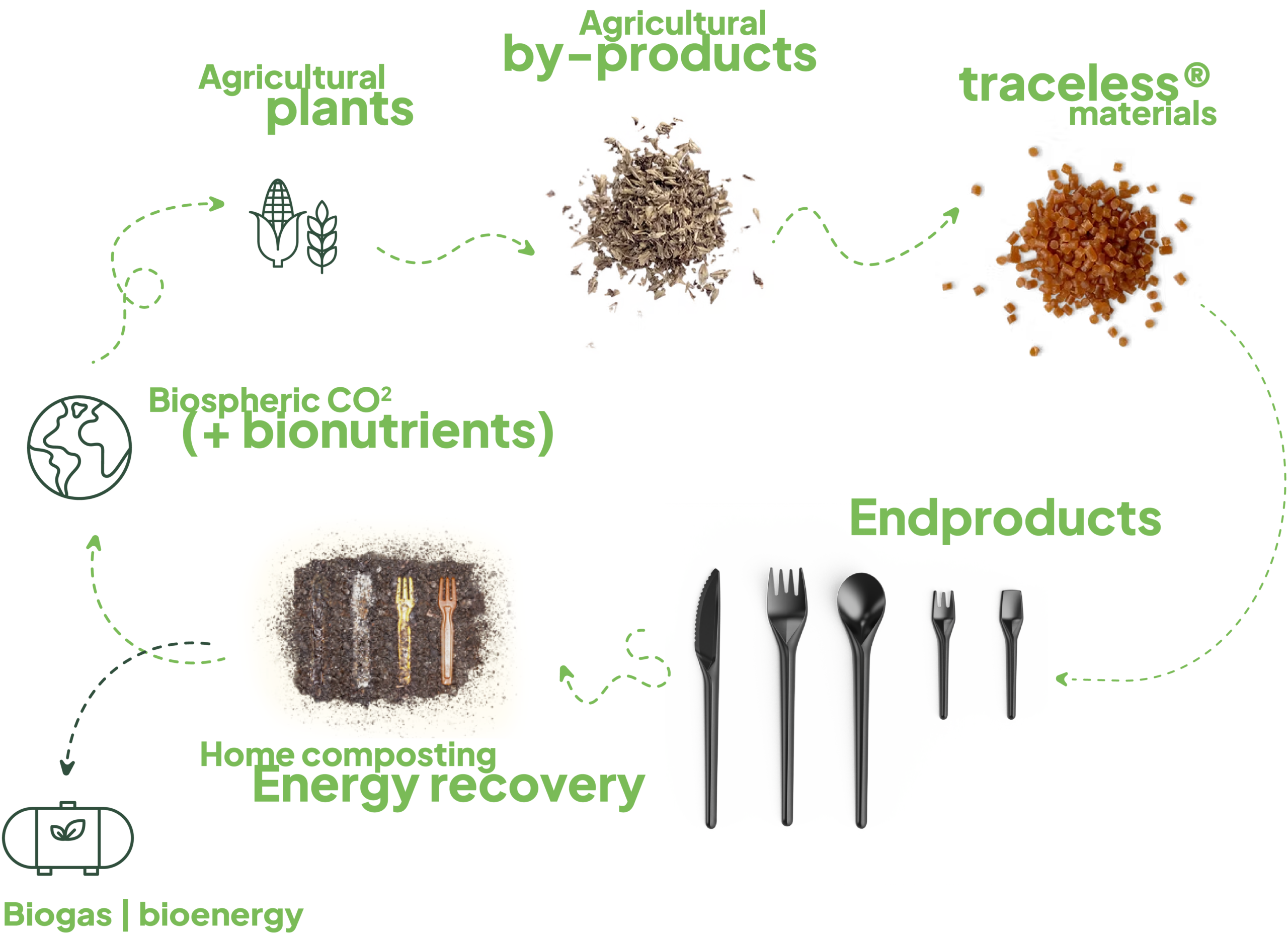 Circular diagram of the traceless product lifecycle: Agricultural plants provide residues from grain production, which are processed into traceless granulate. These are turned into end products such as disposable cutlery. After use, energy is recovered through home composting or biogas/bioenergy. This generates biospheric CO₂ and bio-nutrients, which flow back into agriculture, closing the loop.